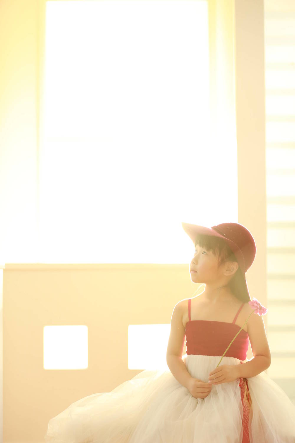 ブログ写真