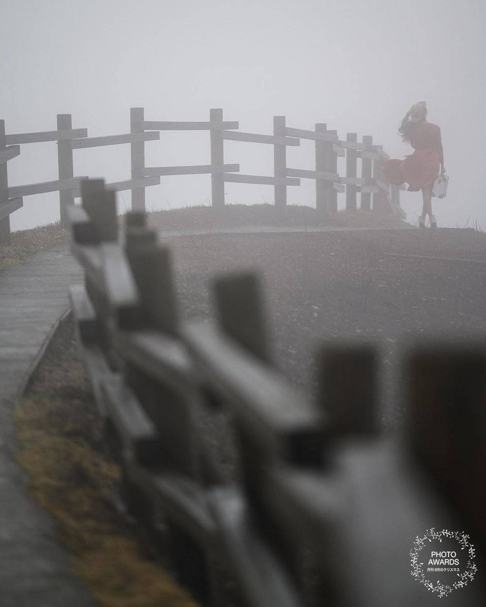 ブログ写真