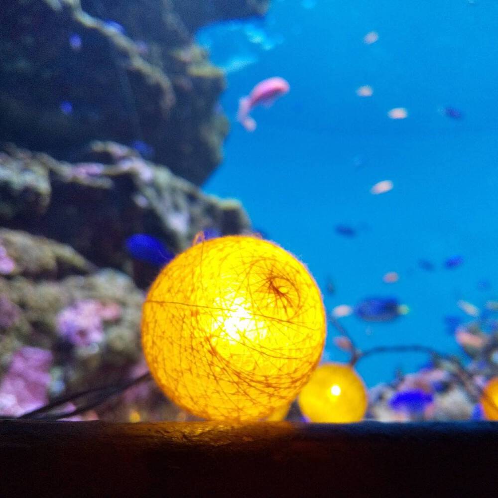 ブログ写真