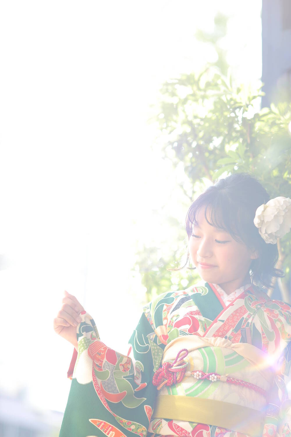 ブログ写真