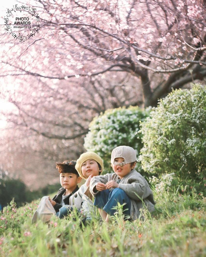 ブログ写真