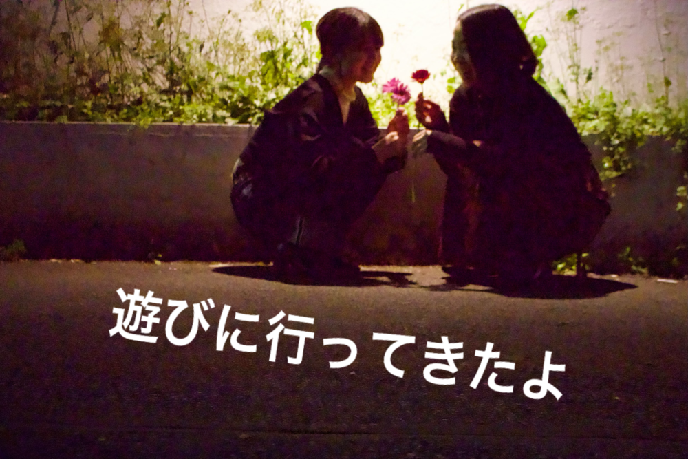 ブログ写真