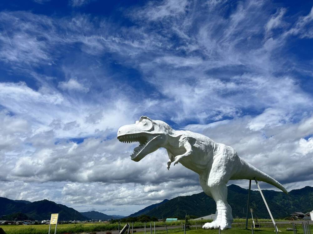 ブログ写真