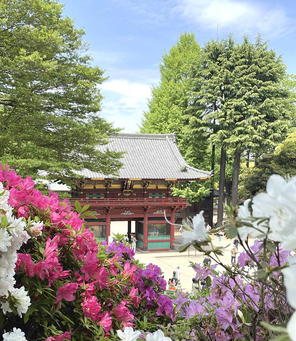 ブログ写真