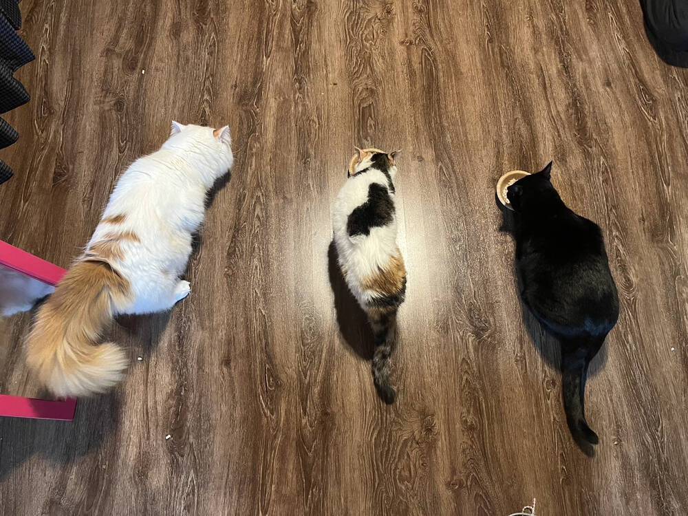 ブログ写真