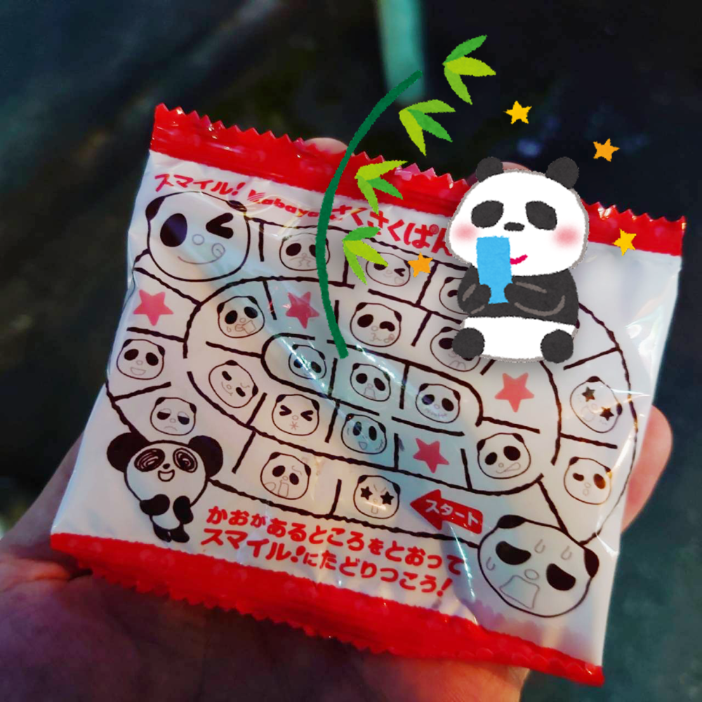 ブログ写真