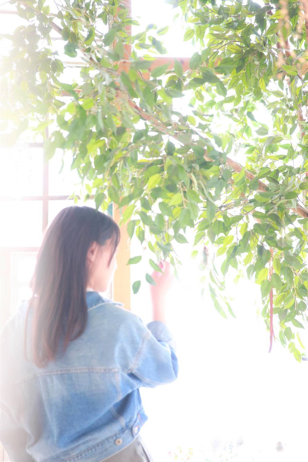 ブログ写真