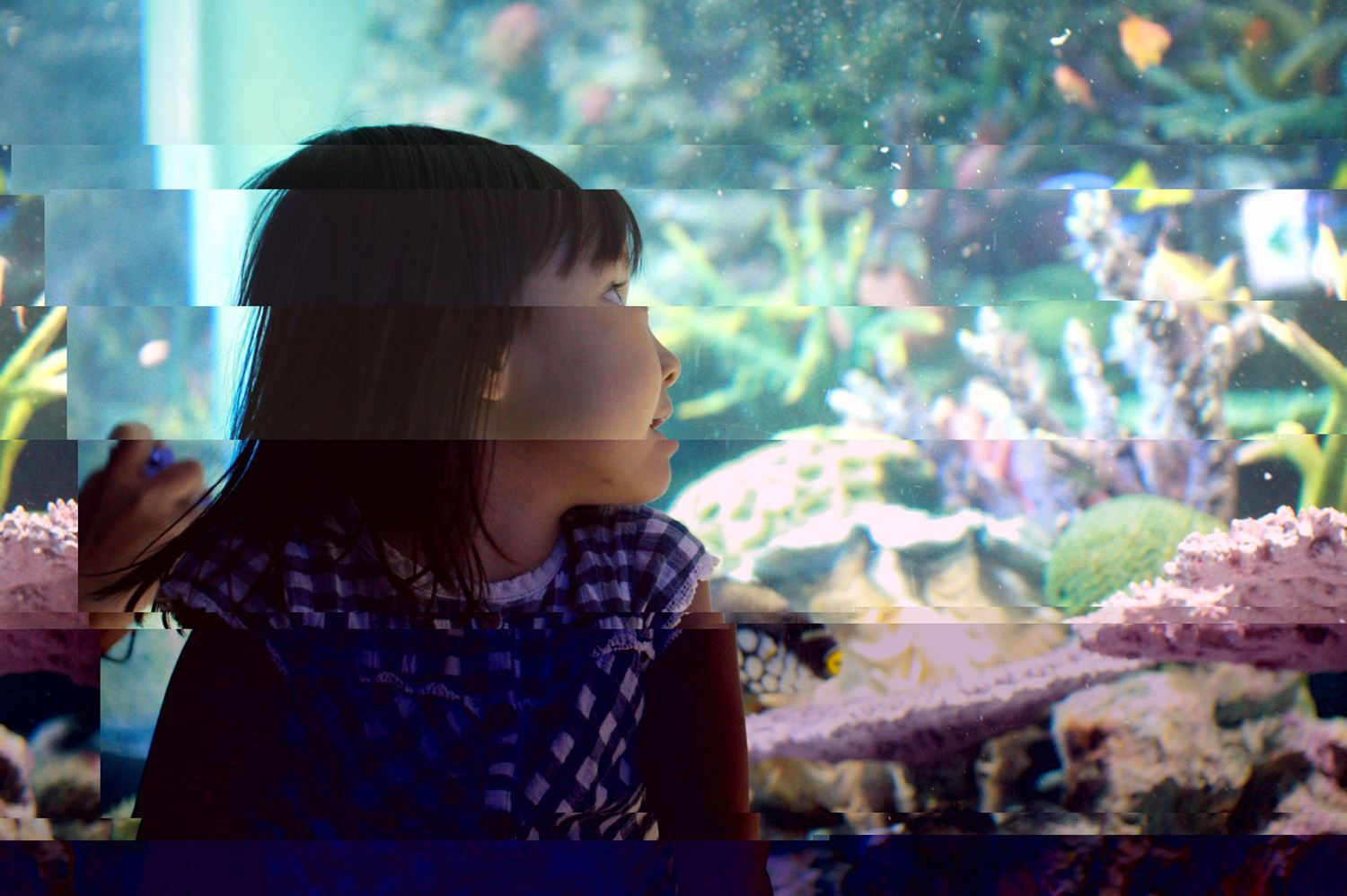 ブログ写真