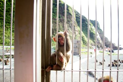 ブログ写真