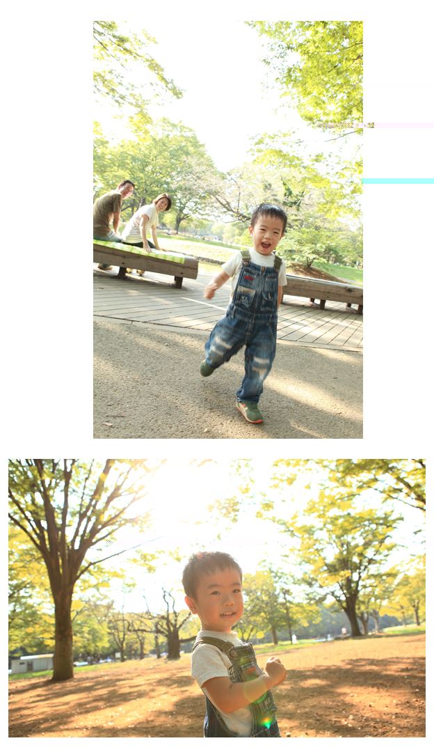 ブログ写真