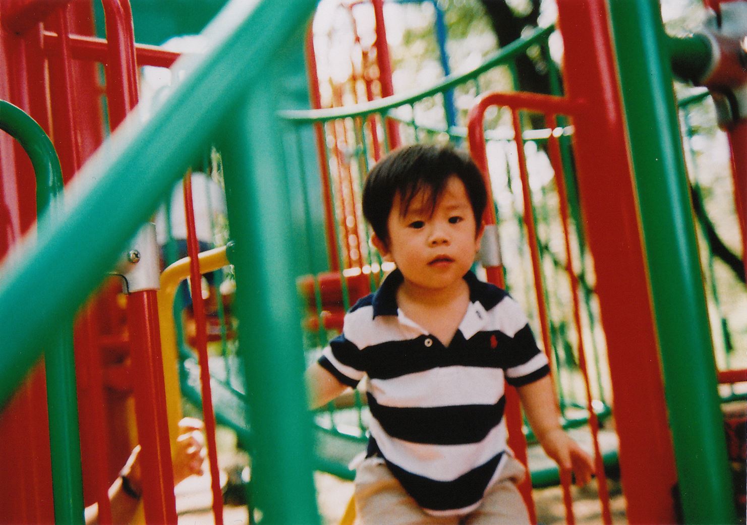 ブログ写真