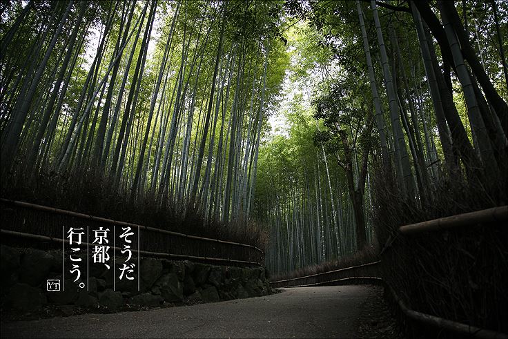 ブログ写真