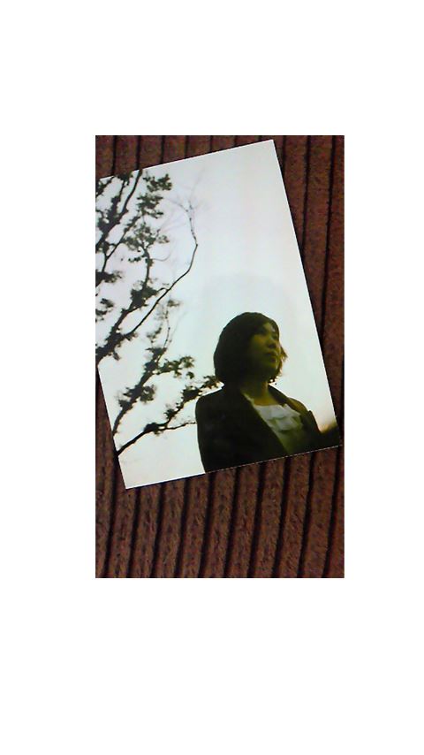 ブログ写真