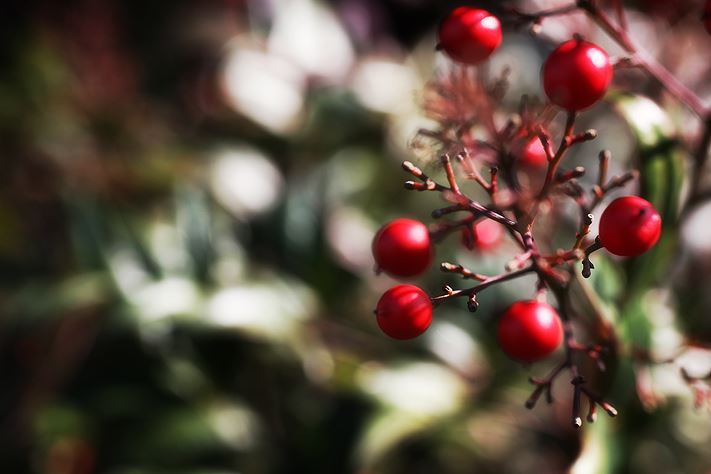ブログ写真