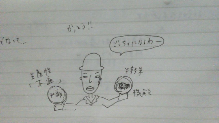 ブログ写真