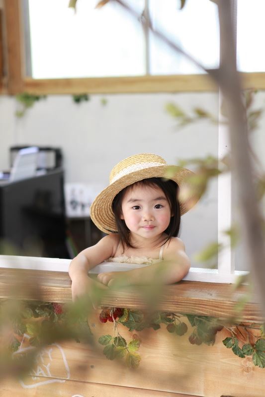 ブログ写真