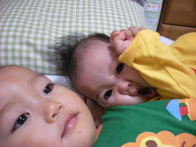 ブログ写真