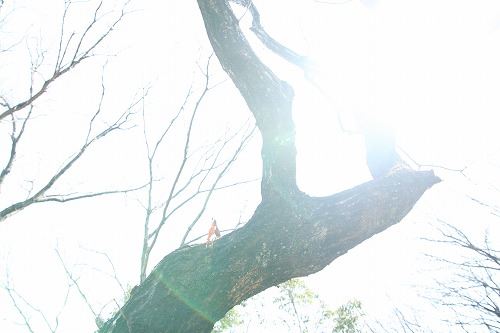 ブログ写真