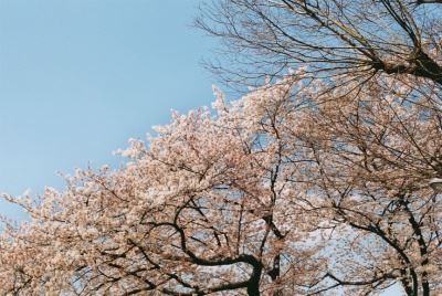 ブログ写真