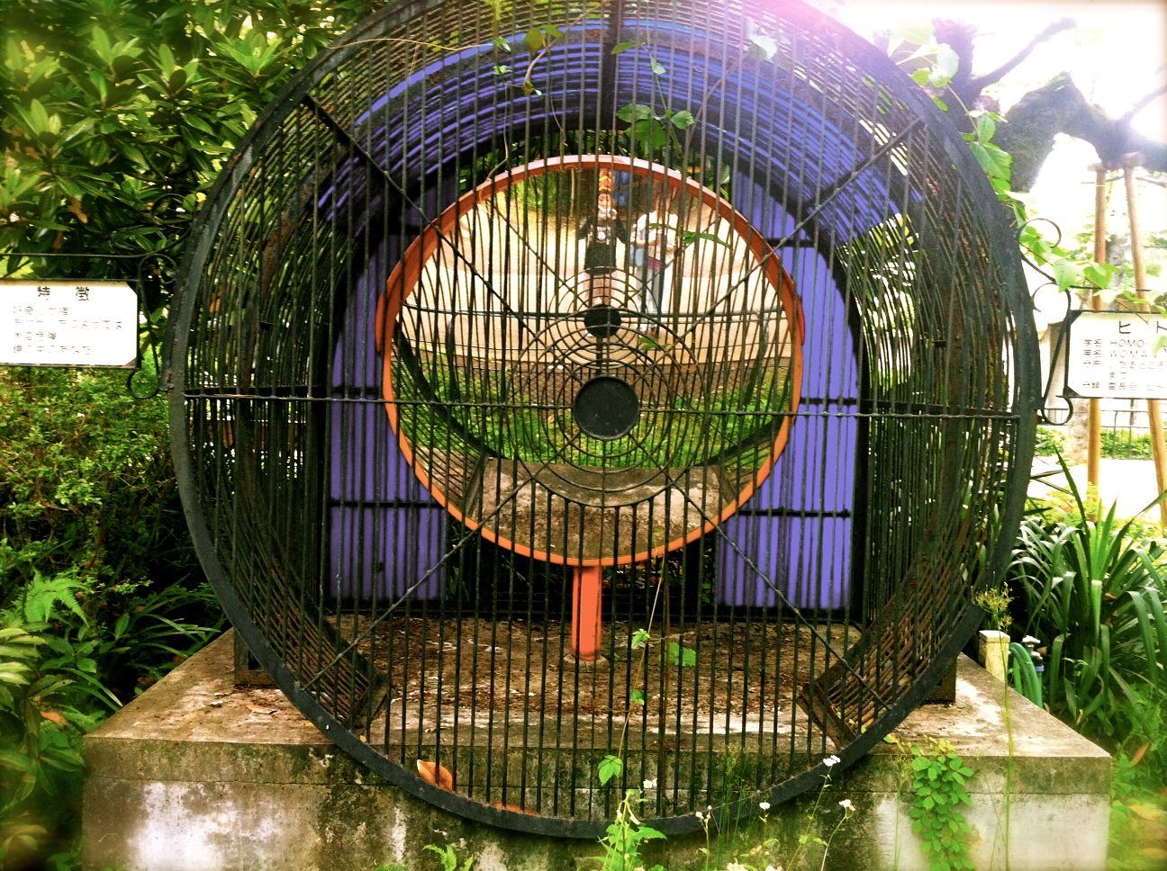 ブログ写真