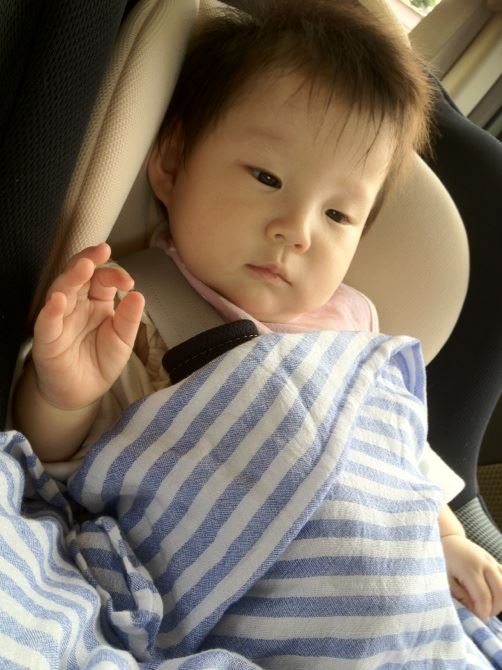 ブログ写真