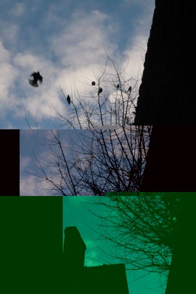 ブログ写真