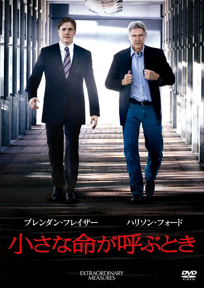 ブログ写真
