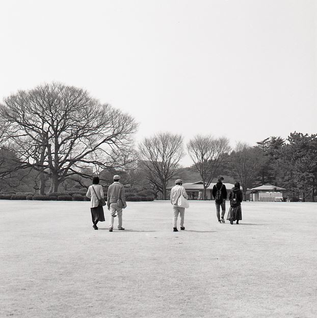 ブログ写真