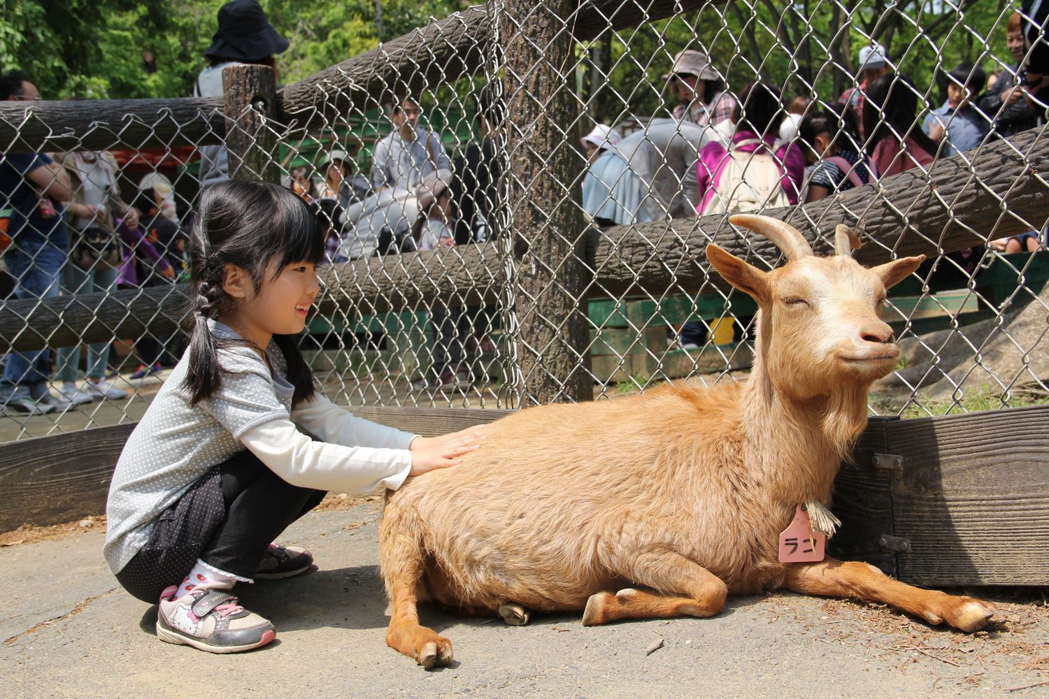 ブログ写真