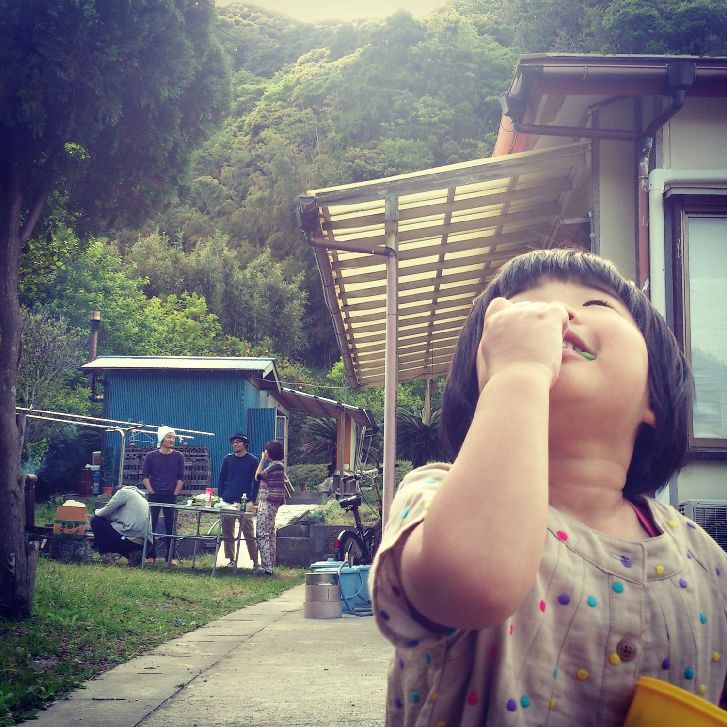 ブログ写真