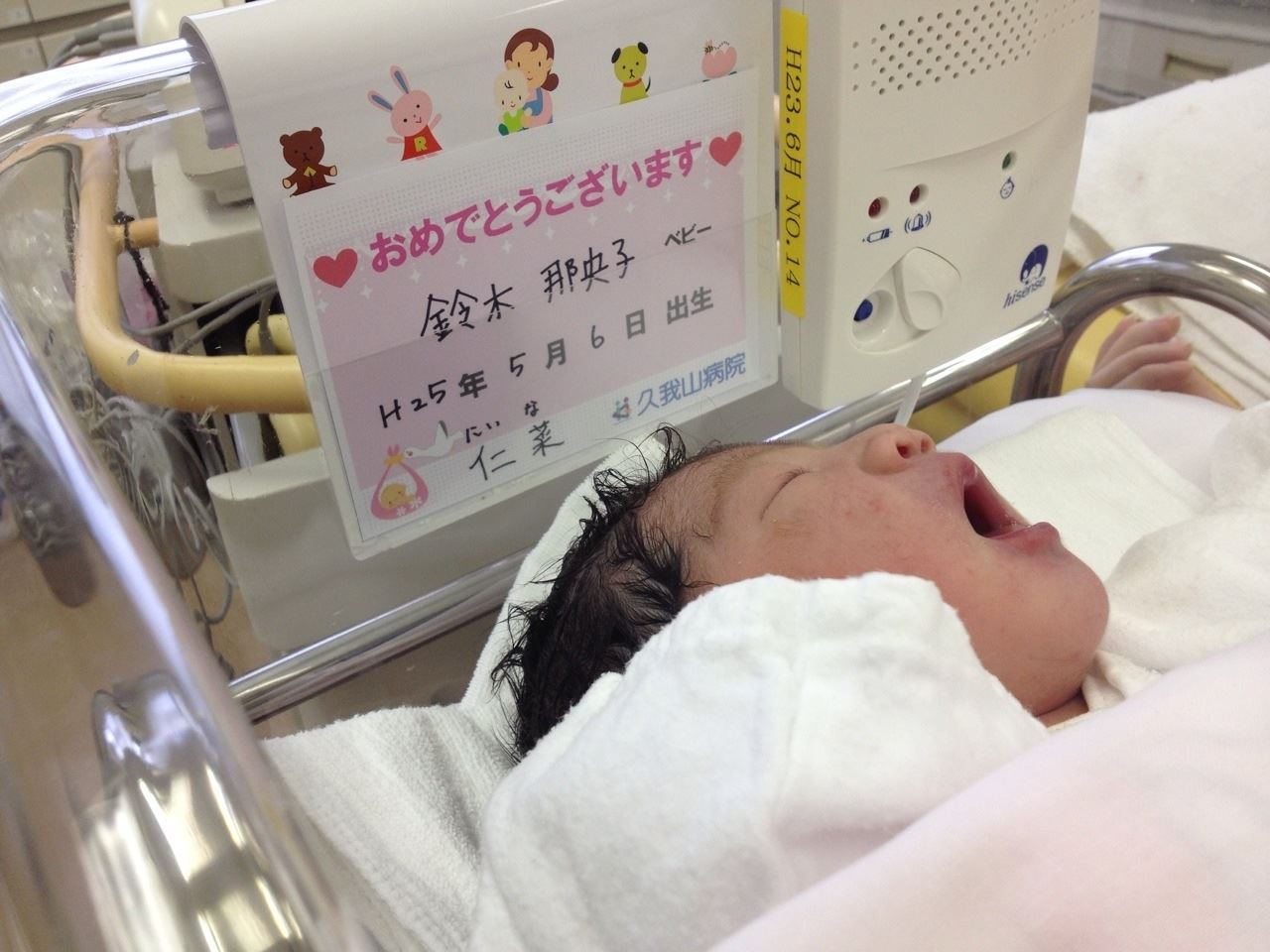ブログ写真