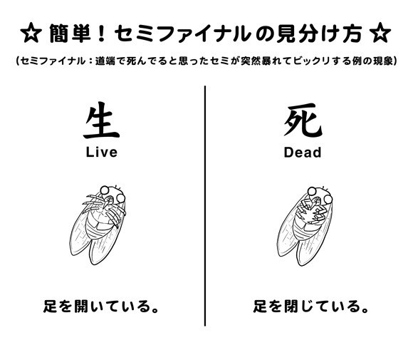 ブログ写真