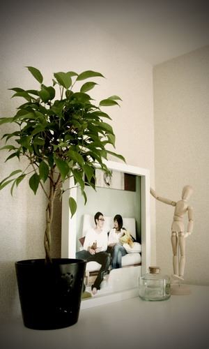 ブログ写真
