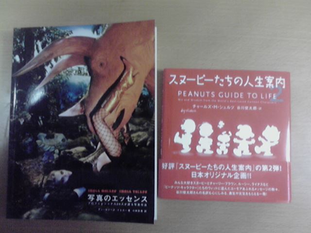 ブログ写真