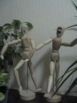 ブログ写真