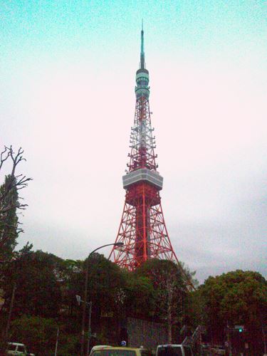 ブログ写真