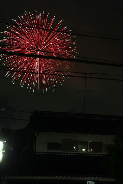 ブログ写真