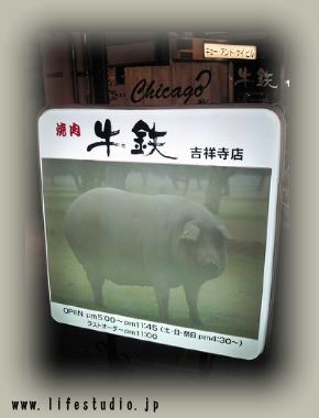 ブログ写真
