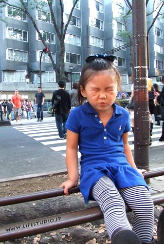 ブログ写真