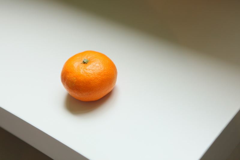 ブログ写真