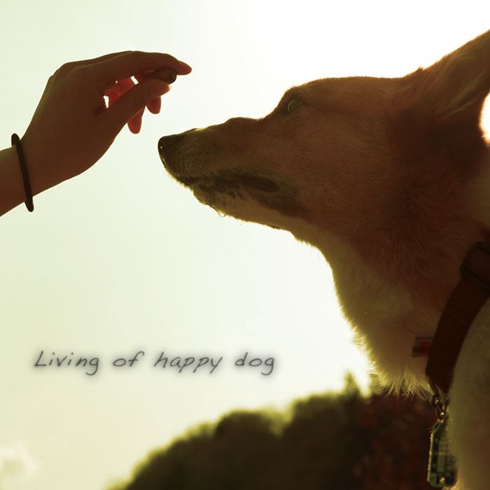 ブログ写真