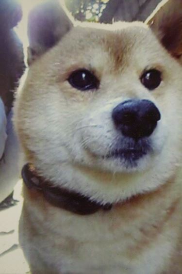 ブログ写真
