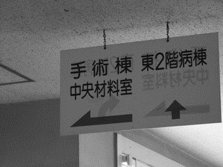 ブログ写真