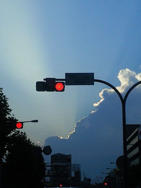 ブログ写真