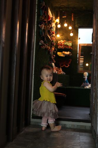 ブログ写真