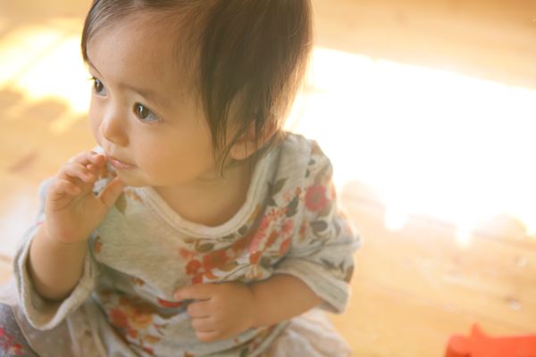 ブログ写真