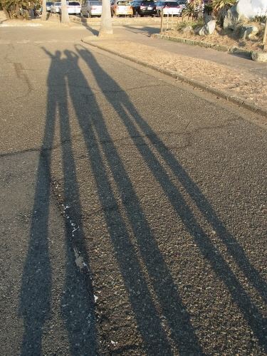 ブログ写真