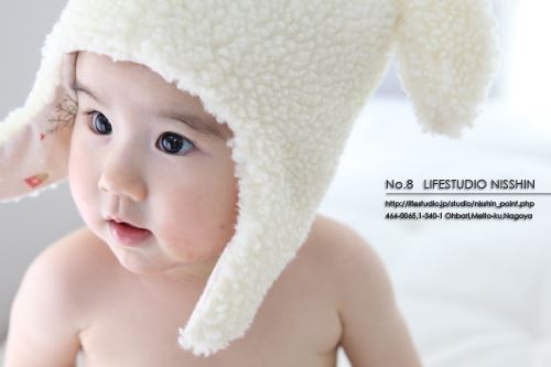 ブログ写真
