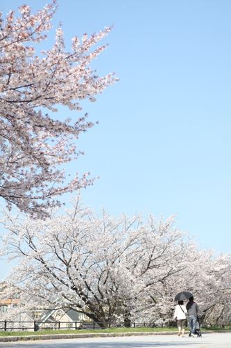 ブログ写真