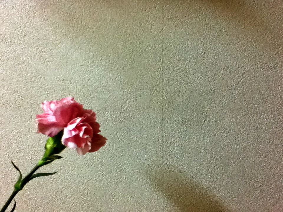 ブログ写真